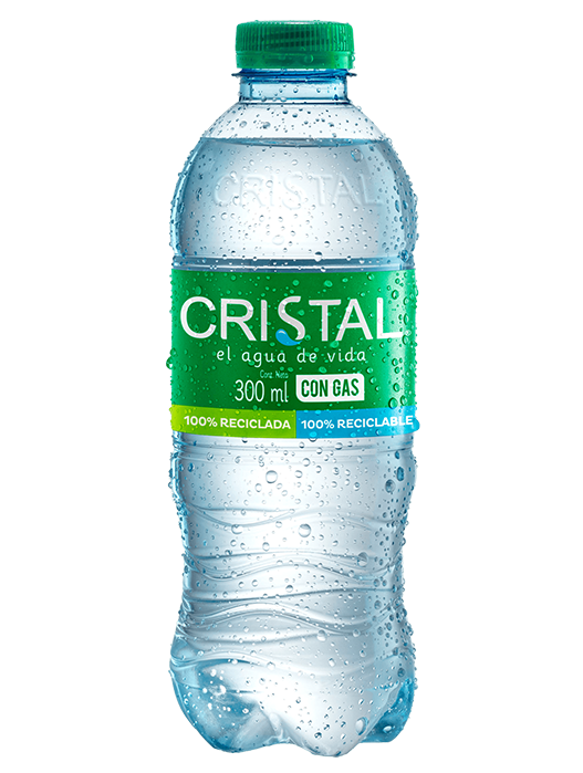 Agua con gas en botella plástica (300 ml)