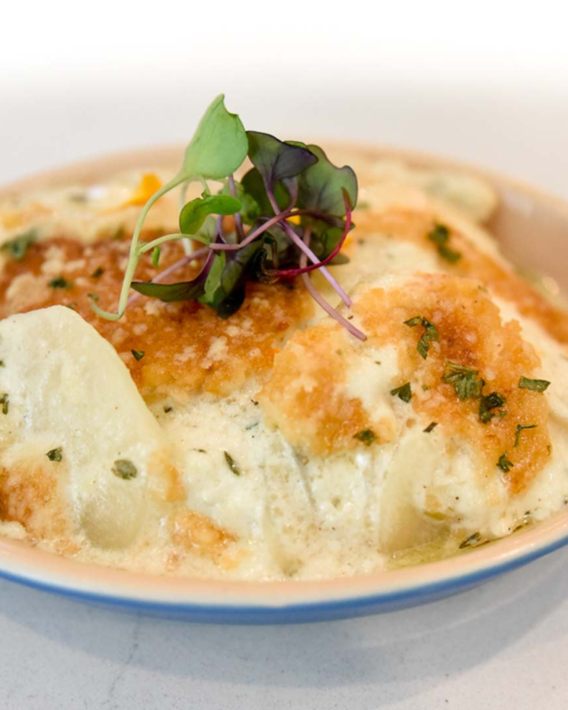 Potato Gratin