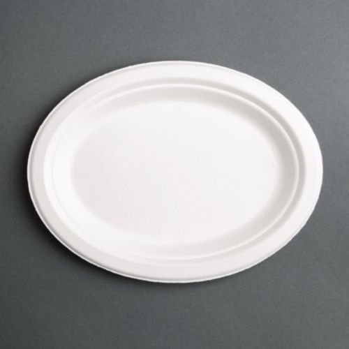 Circular Compostable Bagasse Dinner Plate (10 Pack)