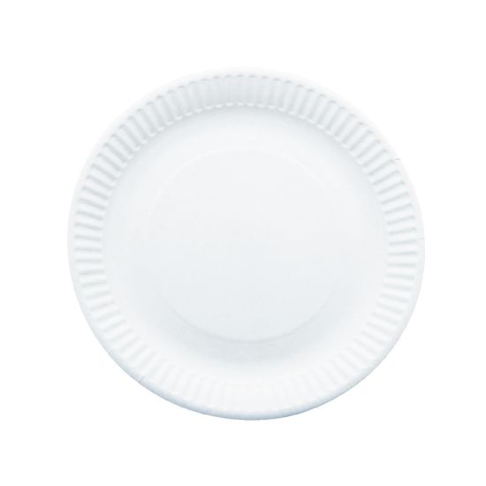 Disposable Plate