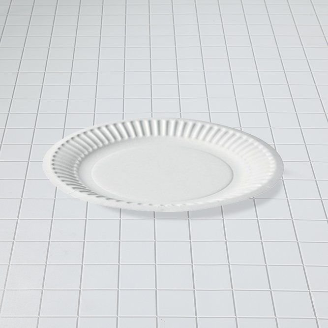 Disposable Plate