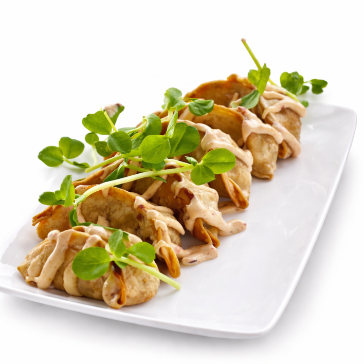 Vegetable Gyoza Dumpling