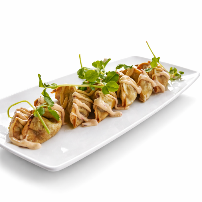 Wagyu Beef Gyoza Dumpling