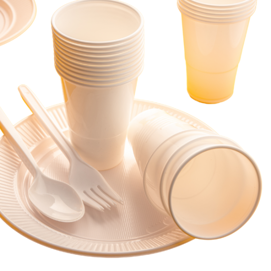 Disposable Tableware Reception 