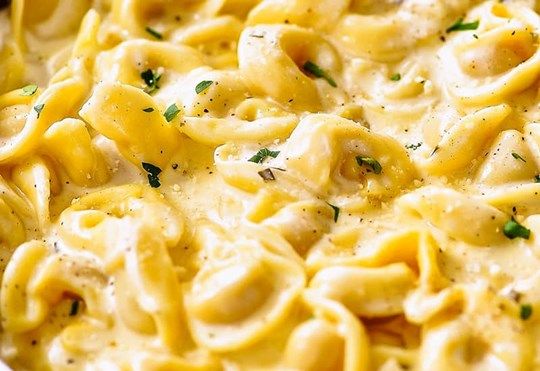 Tortellini Alfredo