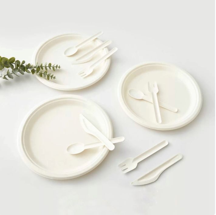 Sustainable 9 inch plate 