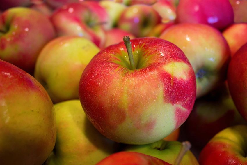 assorted seasonal whole fruit
